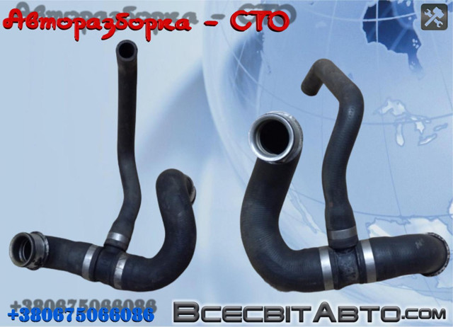 Шланг/патрубок радіатора охолодження, нижній A9065011482 MERCEDES