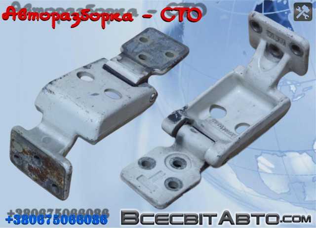 Петля задніх (навстіж) дверей, ліва нижня A9067400637 MERCEDES