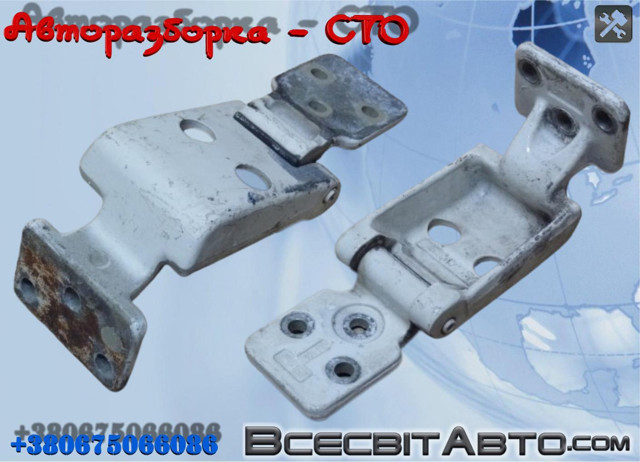 Петля задніх (навстіж) дверей, права нижня A9067400737 MERCEDES
