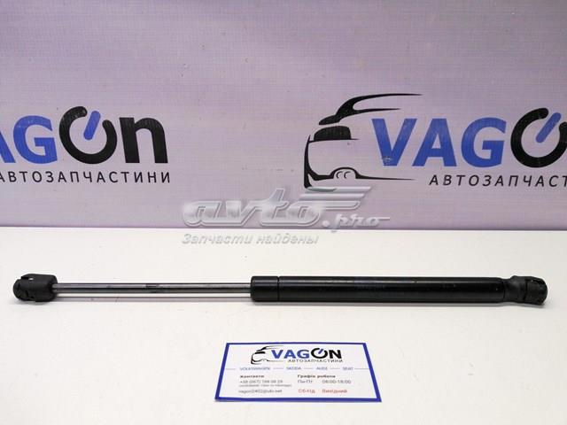 Амортизатор ляди 3C5827550B VAG