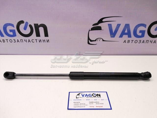 Амортизатор кришки багажника / двері 3/5-ї задньої 3C5827550C VAG