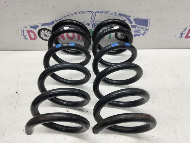 Пружина задня 550201CA0A NISSAN