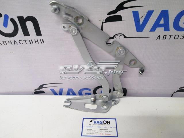 Петля багажника 8E5827302B VAG