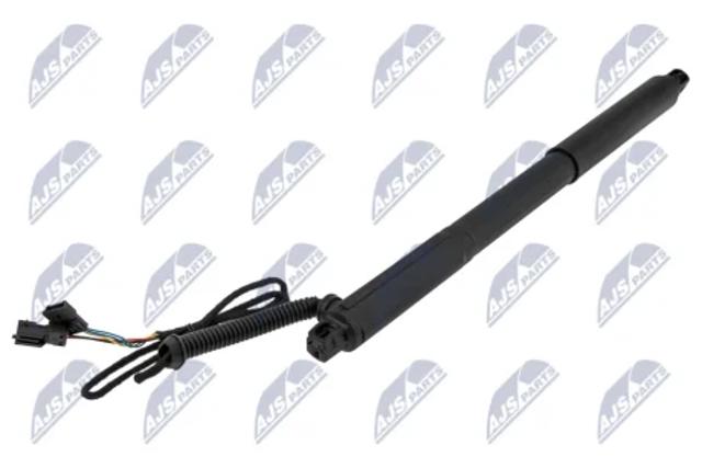 Амортизатор двері задньої AEBM072 NTY