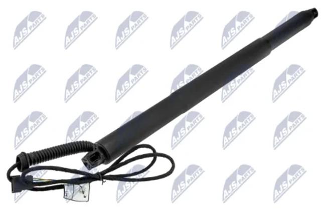 Амортизатор ляди AEBM105 NTY