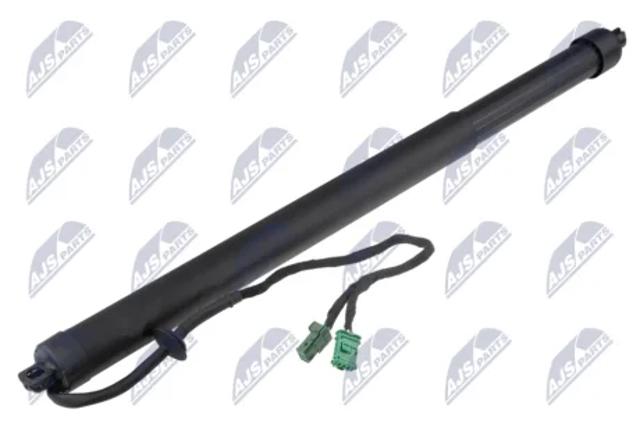 Амортизатор кришки багажника AECT058 NTY
