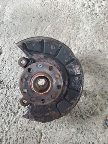 Кулак поворотний передній лівий 1K0407255AA VAG