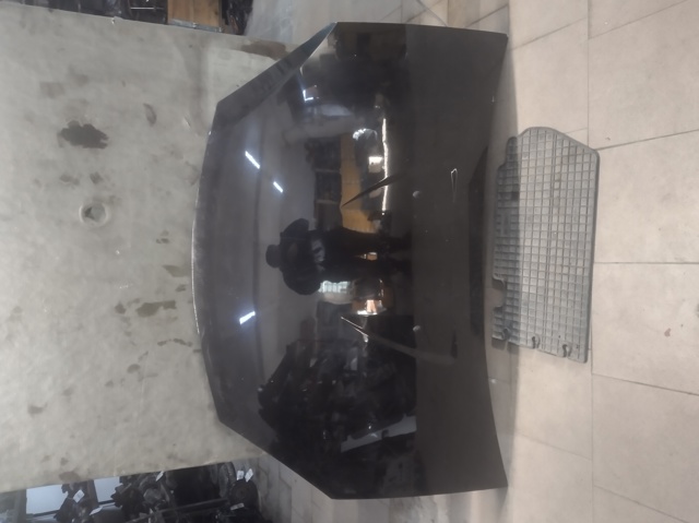 Капот 6001551793 RENAULT