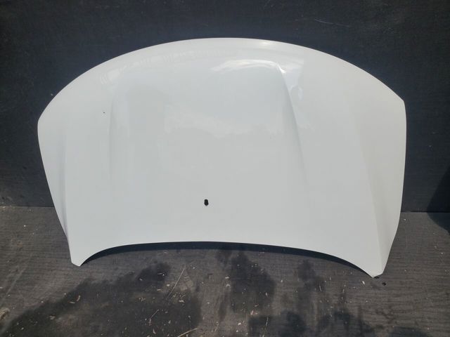Капот 651002162R RENAULT