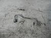 Трубка паливна форсунки 1-го циліндра A6460700233 MERCEDES