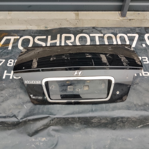 Кришка багажника кузова 692003D060 HYUNDAI