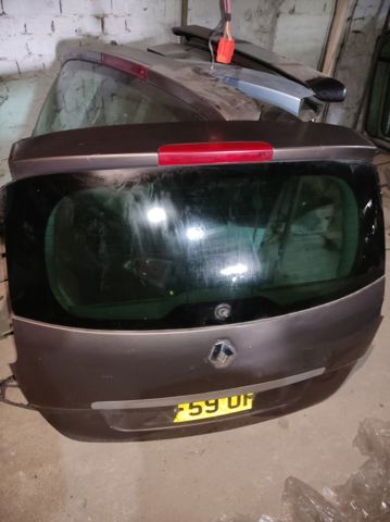 Двері багажника 901003854R RENAULT