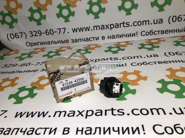 Цоколь (патрон) заднього ліхтаря 8153642200 TOYOTA