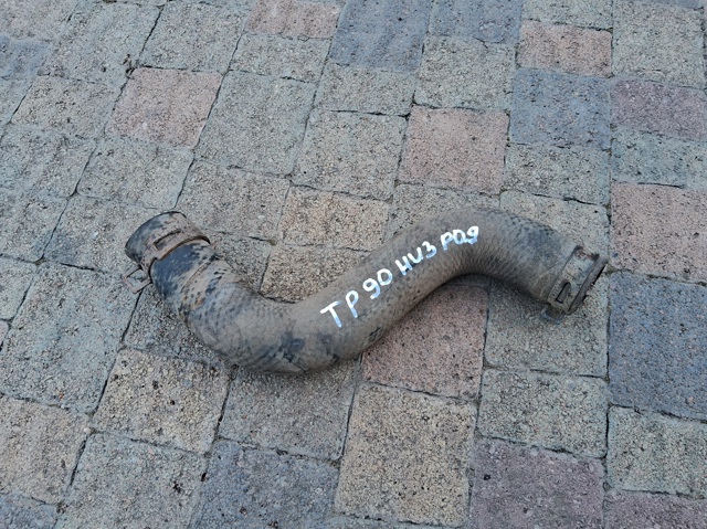 Шланг/патрубок радіатора охолодження, нижній 1657167070 TOYOTA