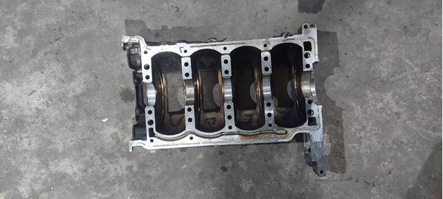 ДВЗ 19300256 GM