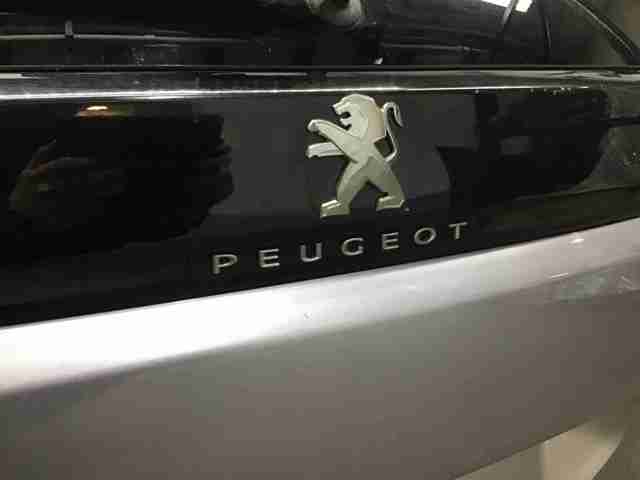 Задні двері багажника 1619267680 PEUGEOT