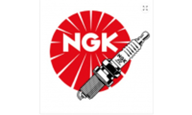 Свічка запалювання 4291 NGK