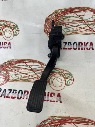 Підаль газу 118869500A TESLA