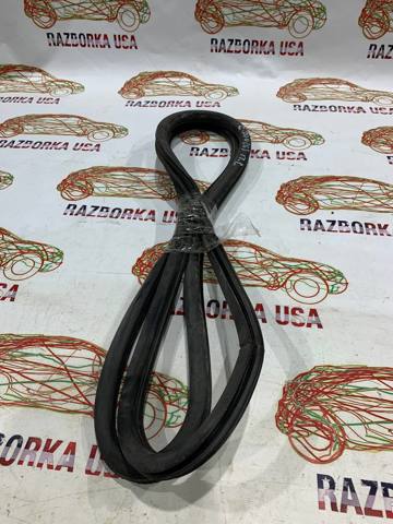 Ущільнювач дверей передніх, на (кузові) 68145007AB CHRYSLER