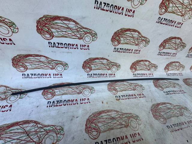 Молдинг даху, лівий 7555647070 TOYOTA