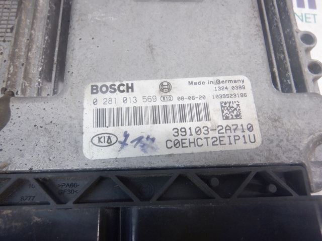 Мізки двигуна 0281013569 HYUNDAI
