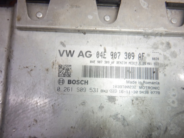 Мізки двигуна 04E907309AF VAG
