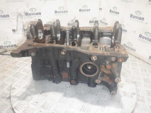 Блок циліндрів двигуна 110103691R RENAULT