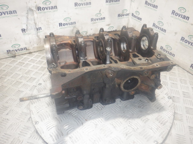 Блок циліндрів двигуна 110109529R RENAULT