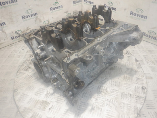 ДВЗ 110116559R RENAULT