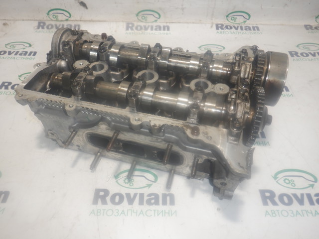 Головка двигуна 110417920R RENAULT