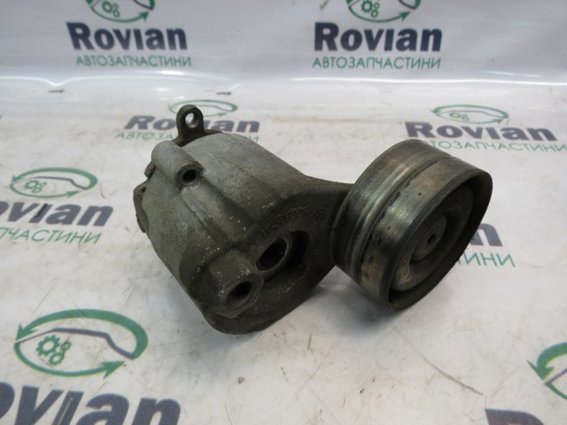 Натяжна планка поліклинового ременя 117500001R RENAULT