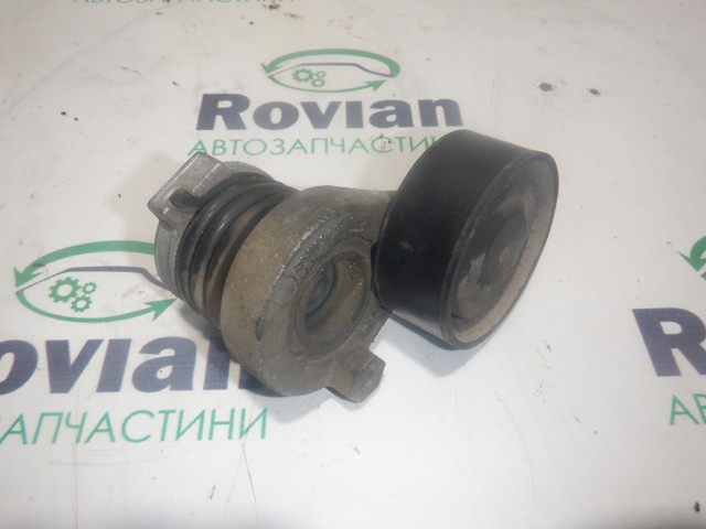 Ролик натяжителя ременя агрегатів 117504048R RENAULT