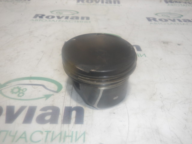 Поршень в зборі 120A13899R RENAULT