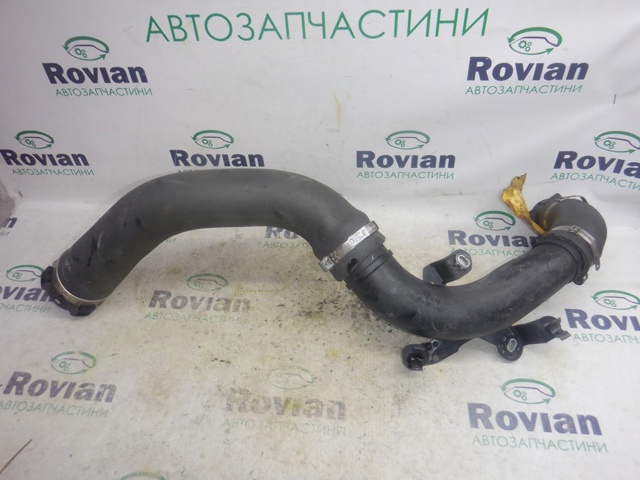 Шланг/патрубок інтеркуллера 144602500R RENAULT