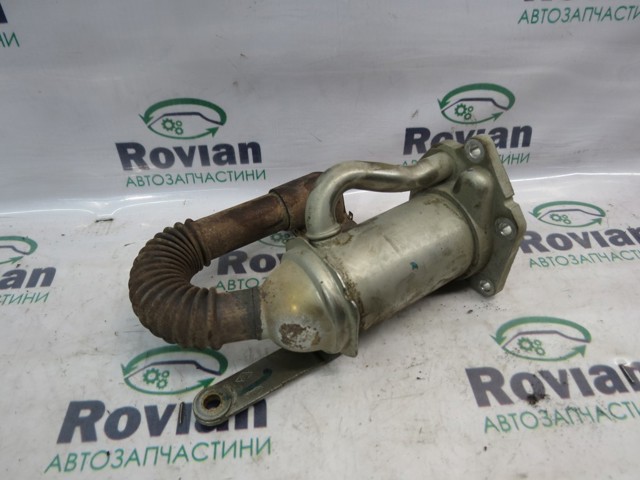 Шланг (патрубок) радіатор EGR, подача 147350718R RENAULT