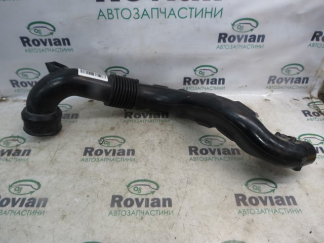 Патрубок повітряний, вхід повітряного фільтра 165558896R RENAULT