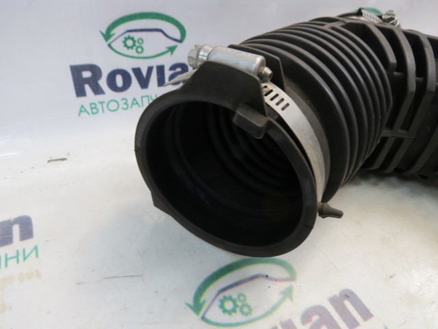 Патрубок повітряний, вихід повітряного фільтра 165786RC1B NISSAN