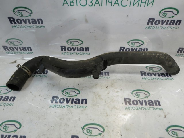 Шланг/патрубок радіатора охолодження, верхній 215010021R RENAULT