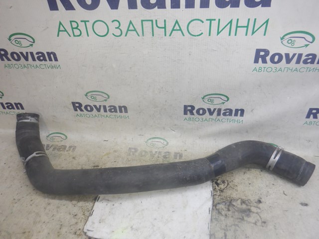 215012872R Renault (RVI)