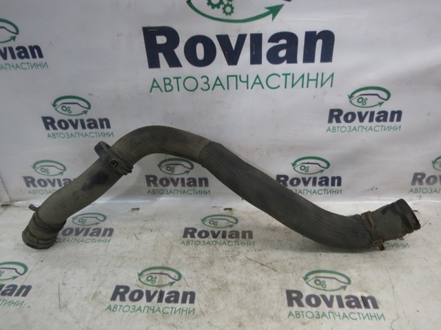Патрубок системи охолодження 215038760R RENAULT