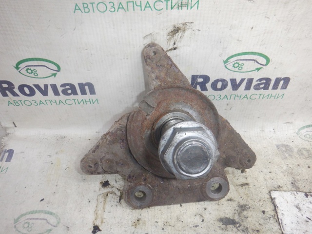 Цапфа - поворотний кулак задній, правий 430180834R RENAULT