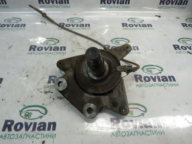 Цапфа - поворотний кулак заднім виходом, 430182620R RENAULT
