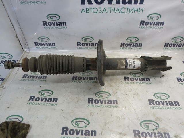 Амортизатор передній 543028828R RENAULT