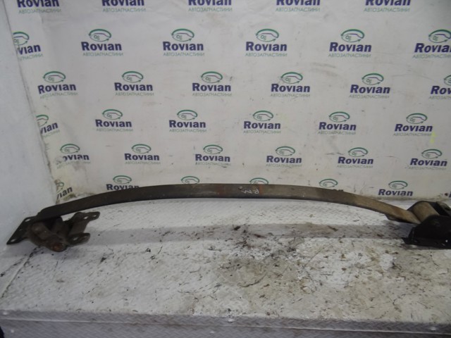 Пружини задні 550206111R RENAULT