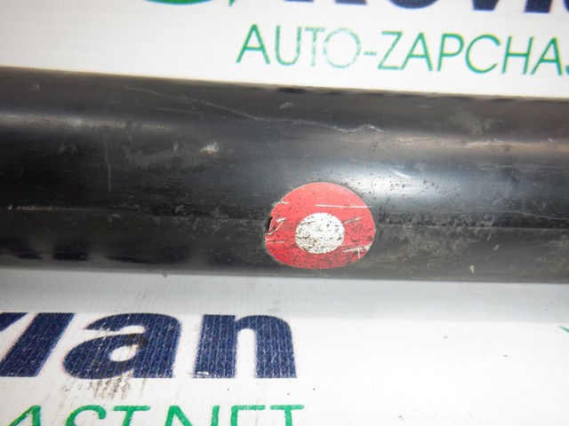 Амортизатори задні 562105043R RENAULT