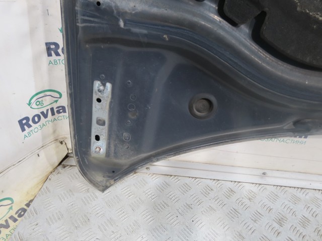 Капот 5NA823031H VAG