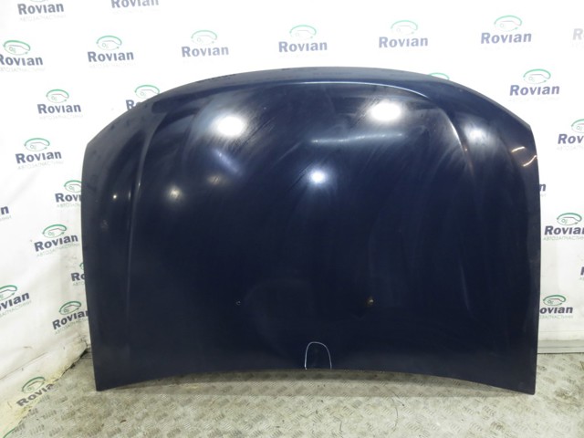 Капот 651000987R RENAULT