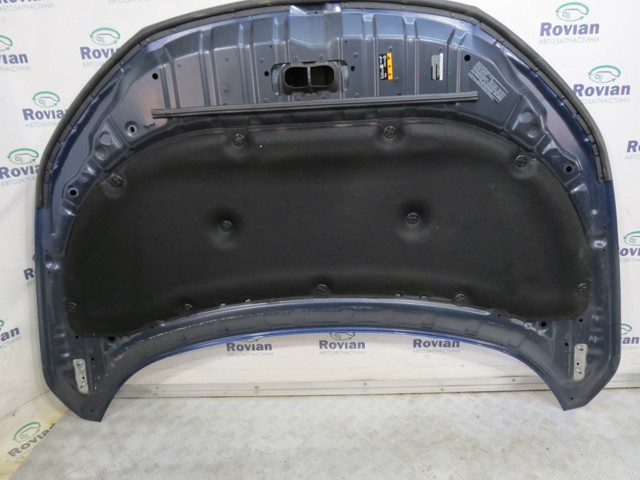 Капот 651006RR0A NISSAN