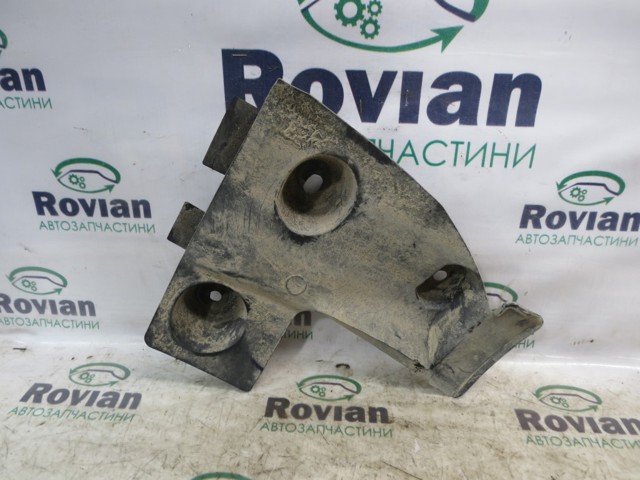 Бризговик задній, правий 788121573R RENAULT