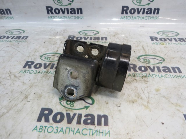 Навішування двері водія (петлі) 804218874R RENAULT